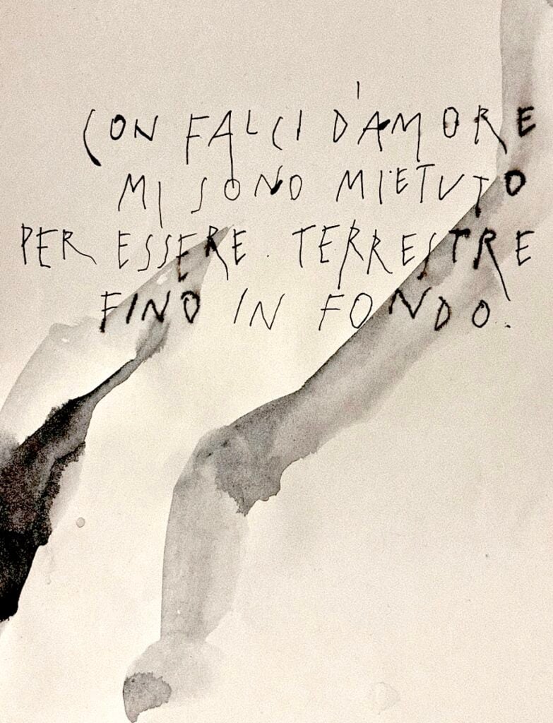Con falci d’amore(nenia per il nuovo millennio)
