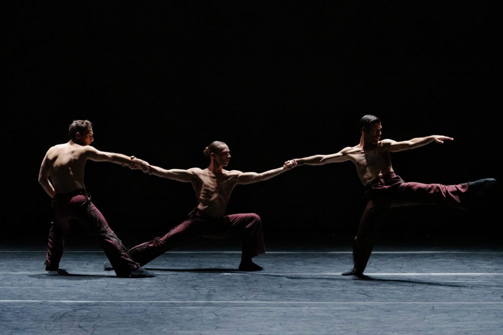 CORNELIA, Variation. Ph: Karolina Kuras. Nutida