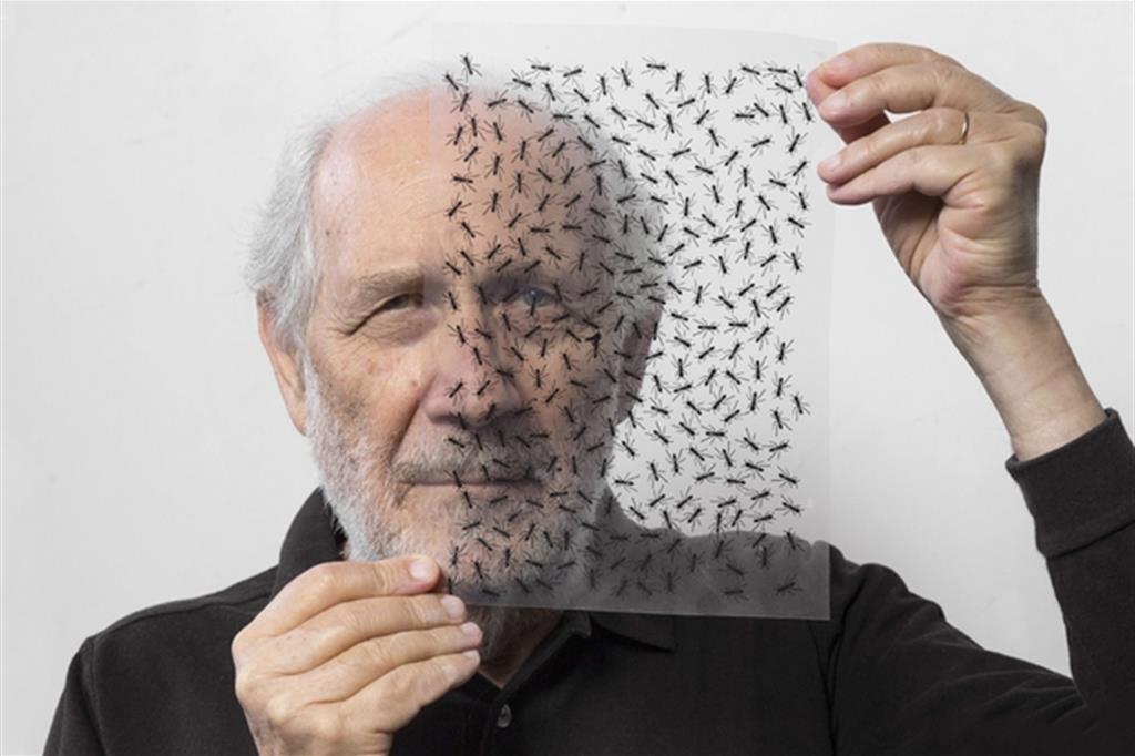Emilio Isgr&ograve;, Orestiadi