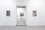 Francesca Polizzi, Lunaria, 2026 - exhibition view - RizzutoGallery, Palermo