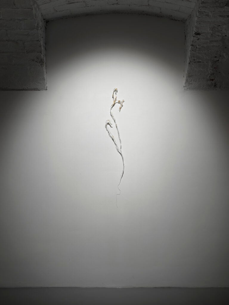 Guglielmo Maggini, Nel tuo affondare, la mia forma, installation view, Z2O, Roma, 2026
