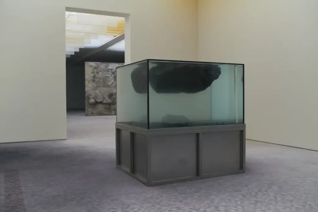 Fondation Beyeler, Pierre Huyghe