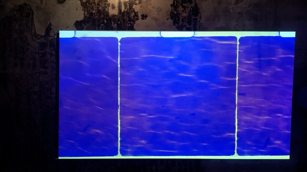 In Minor Keys, Biennale di Venezia 2026, Installation View