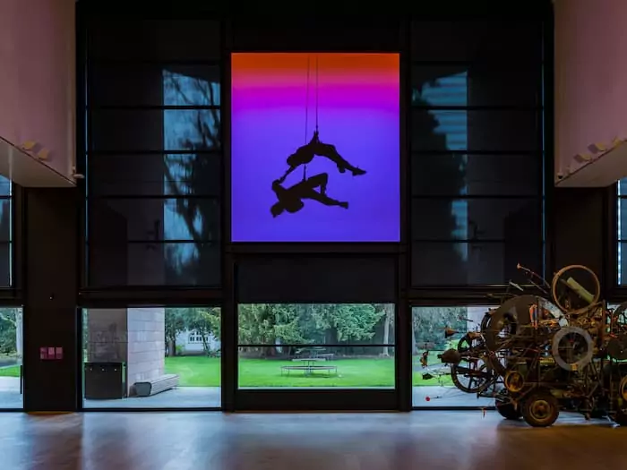 Tinguely Museum, Angelica Mesiti. Reverb