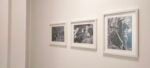 Fidel: storia di un leader &ndash; l&rsquo;uomo che sfid&ograve; il secolo, Palazzo Bisaccioni, Jesi, Installation View