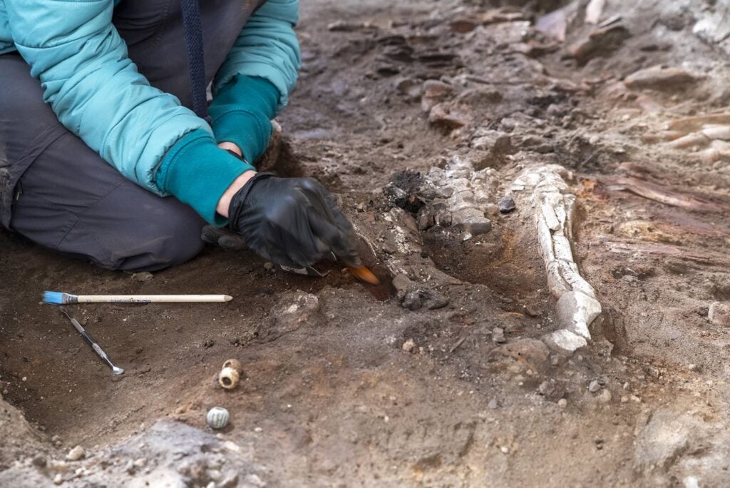 Gli scavi al Parco Archeologico di Pompei nell'insula dei Casti Amanti