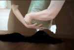 Rebeca Pak, Terriccio Universale, Platea