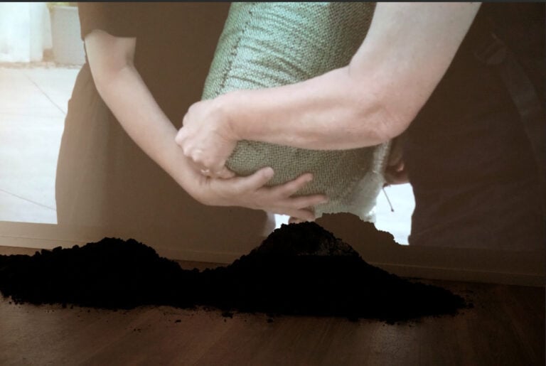 Rebeca Pak, Terriccio Universale, Platea