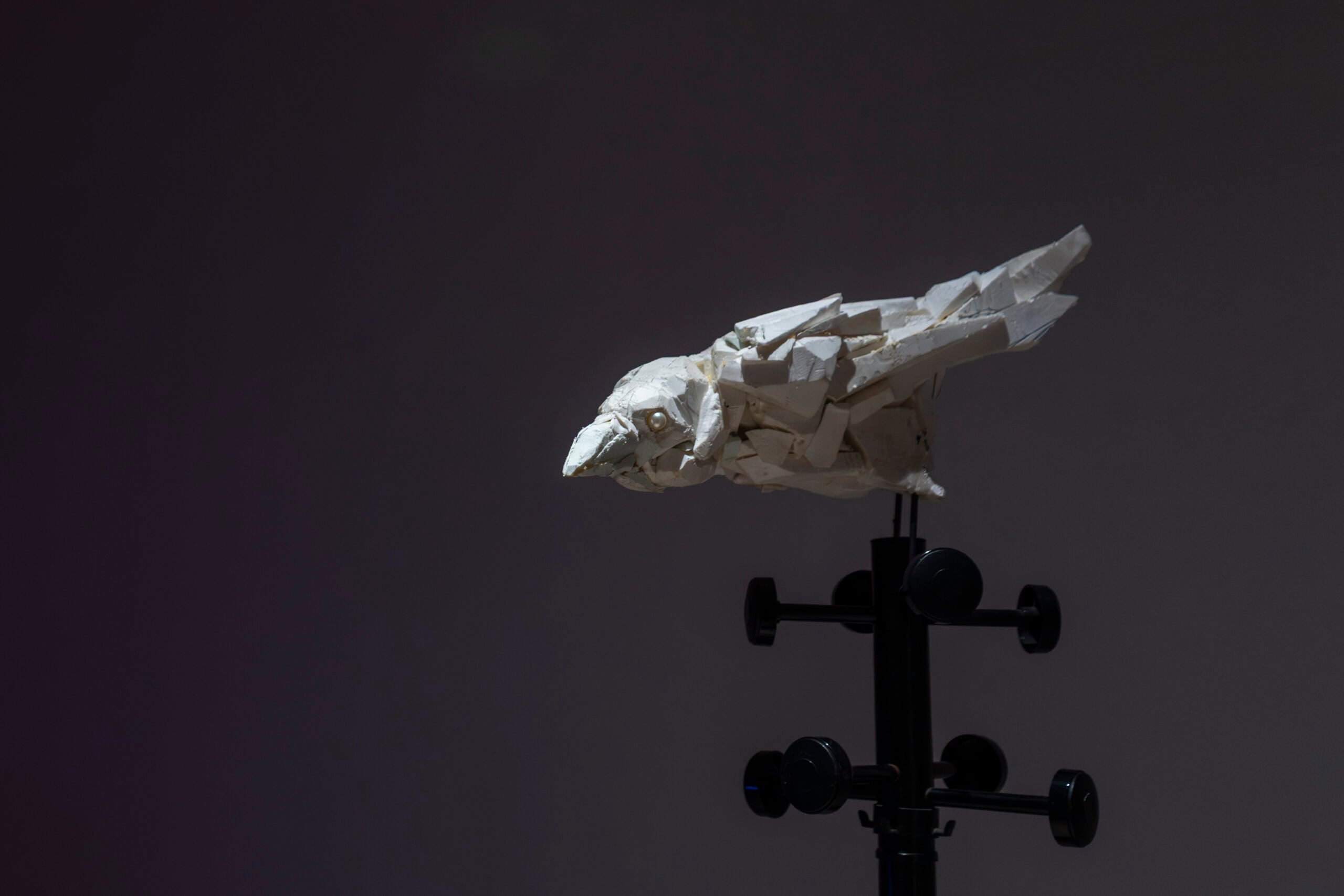 https://www.artribune.com/wp-content/uploads/2026/06/scarecrow-installation-view-flashback-habitat-torino-2026-3-scaled.jpg
