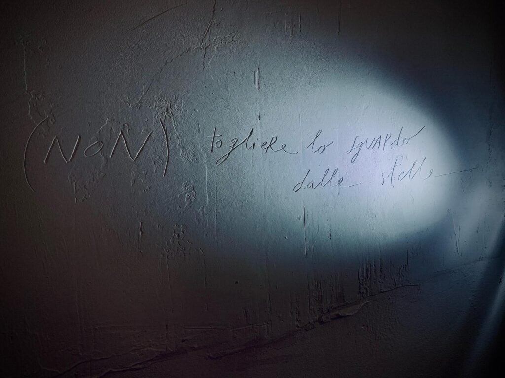 Silvia Mantellini Faieta, criminale sentimentale, 2025