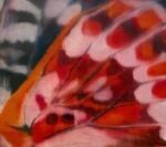 Imogen Allen, 'Windsong', 41 x 46 cm, Oil on canvas, 2026