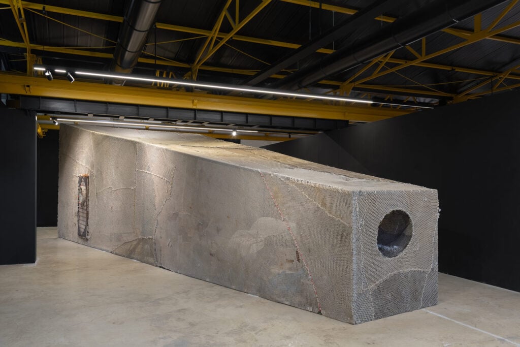 Fondazione D'ARC, Garbiele Silli, "Immenso spermatozoo sottomarino", Installation view foto Eleonora Cerri Pecorella