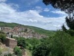 Latera vista dall'alto. Ph: Claudia Zanfi