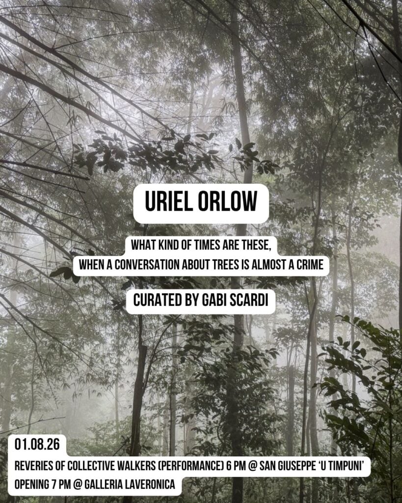 Uriel Orlow – What kind of times are these, when a conversation about trees is almost a crime