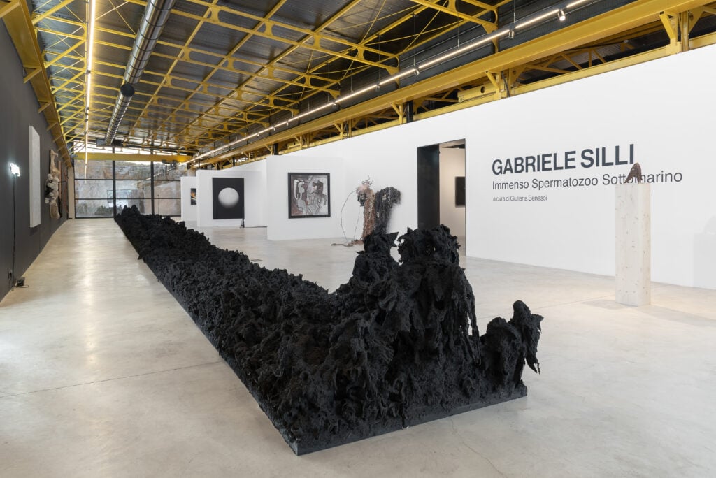 Fondazione D'ARC, Garbiele Silli, "Immenso spermatozoo sottomarino", Installation view foto Eleonora Cerri Pecorella