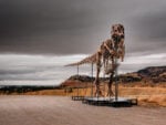 Un primo semestre 2026 da record per la casa d’aste Sotheby’s (hanno pure venduto il dinosauro più costoso della storia)