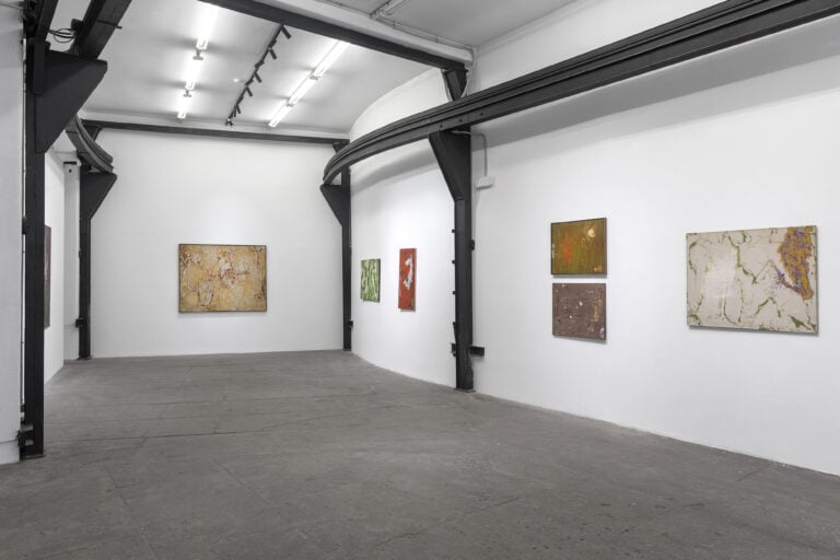 Accademia di San Luca, Ripense, Mostra Beck, Foto di Andrea Veneri