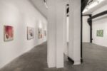 Accademia di San Luca, Ripense, Mostra Beck, Foto di Andrea Veneri