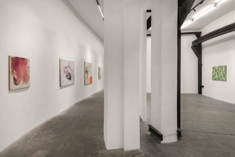 Accademia di San Luca, Ripense, Mostra Beck, Foto di Andrea Veneri