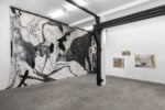 Accademia di San Luca, Ripense, Mostra Beck, Foto di Andrea Veneri