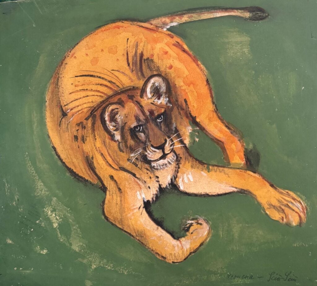Ernest Verner, Leonessa Sciù Sciù