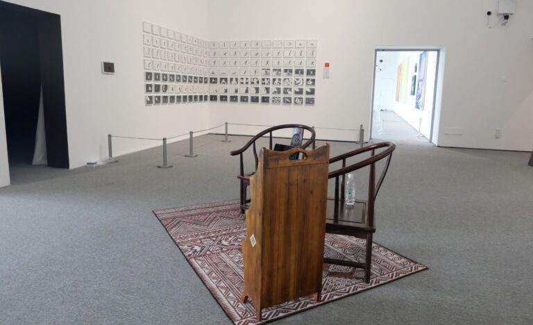 Andrea B.Del Guercio, The Museum is my Home - Xu Bing Luke on a Satellite Biennale di Wuhan 2025, foto CastaliaArt