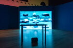 Chiara Passa. The Abstract Films: Sculpting Narratives in Space, 2026, Installation View, Mattatoio. Ph Monkeys Video Lab