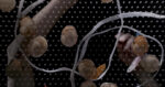 Aki Sasamoto Point Refection (Video), 2023 (still da video) Colonna sonora originale di Matt Bauder Courtesy l&rsquo;artista, Bortolami, New York e Take Ninagawa, Tokyo