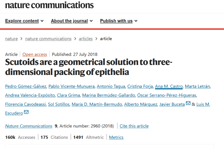 Articolo di Nature sugli Scutoidi scoperti da Clara Grima et al Intervista a Raquel Gu e Clara Gama
