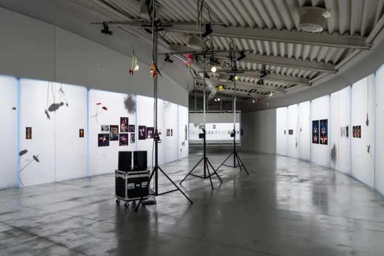 Verita Monselles. Carnale, Centro per l'arte contemporanea Luigi Pecci, Prato
