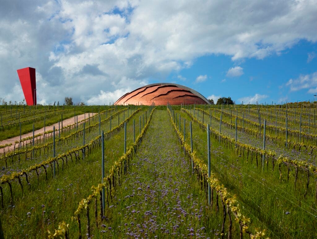 Carapace, Cantine Lunelli