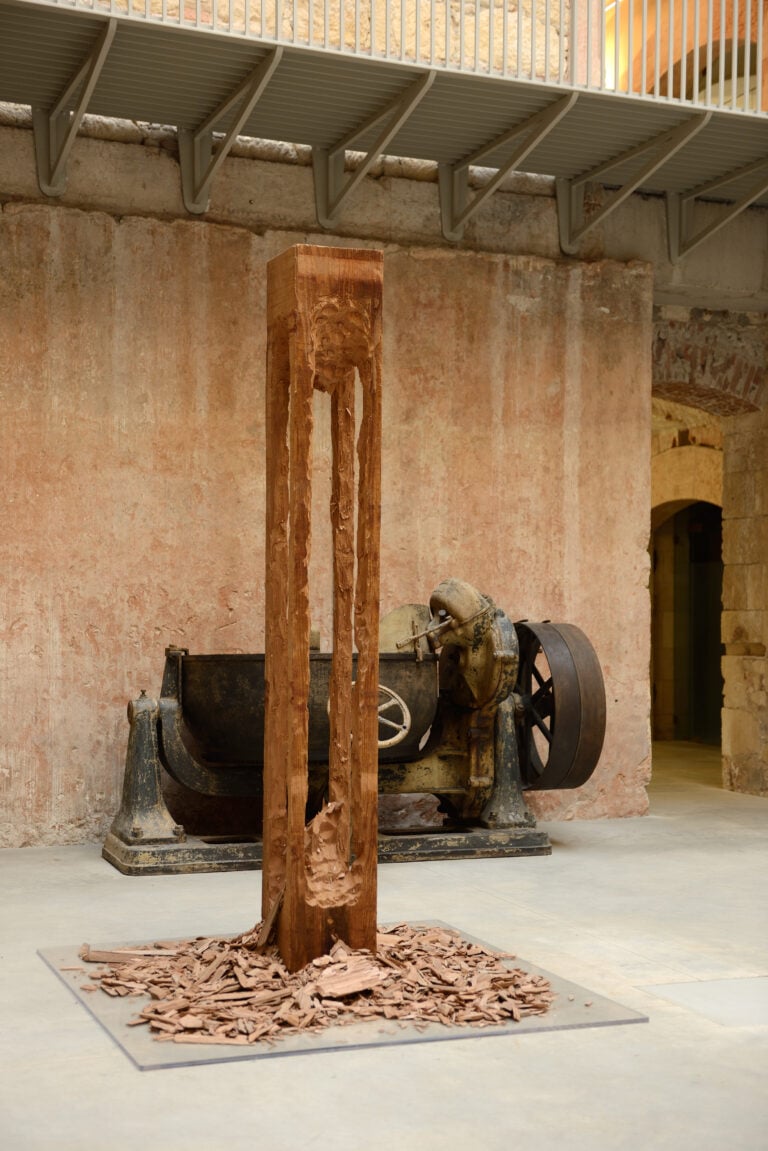 David Adamo, Untitled, 2011