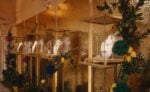 Dolce&Gabbana in Sicilia sfilano a Taormina e Giarre: abiti e gioielli come opere d&rsquo;arte