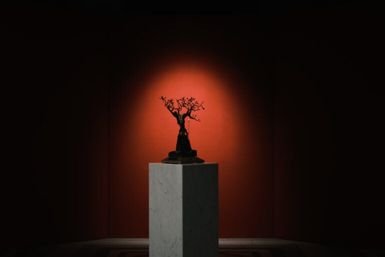 Andrea Roggi, 50 Years of Creation