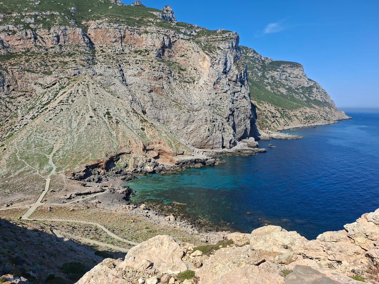 https://www.artribune.com/wp-content/uploads/2026/07/favignana.jpg