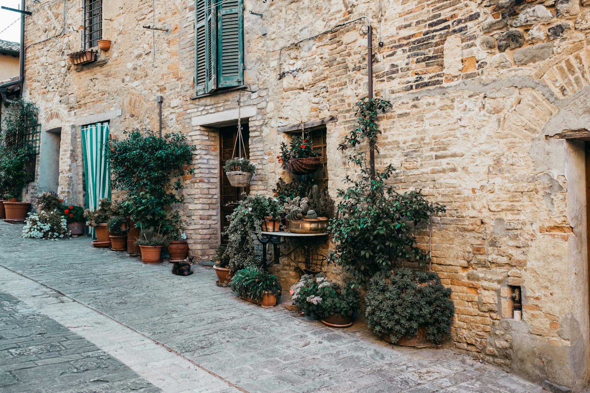 https://www.artribune.com/wp-content/uploads/2026/07/foto-di-jordan-vc-su-unsplash.jpg