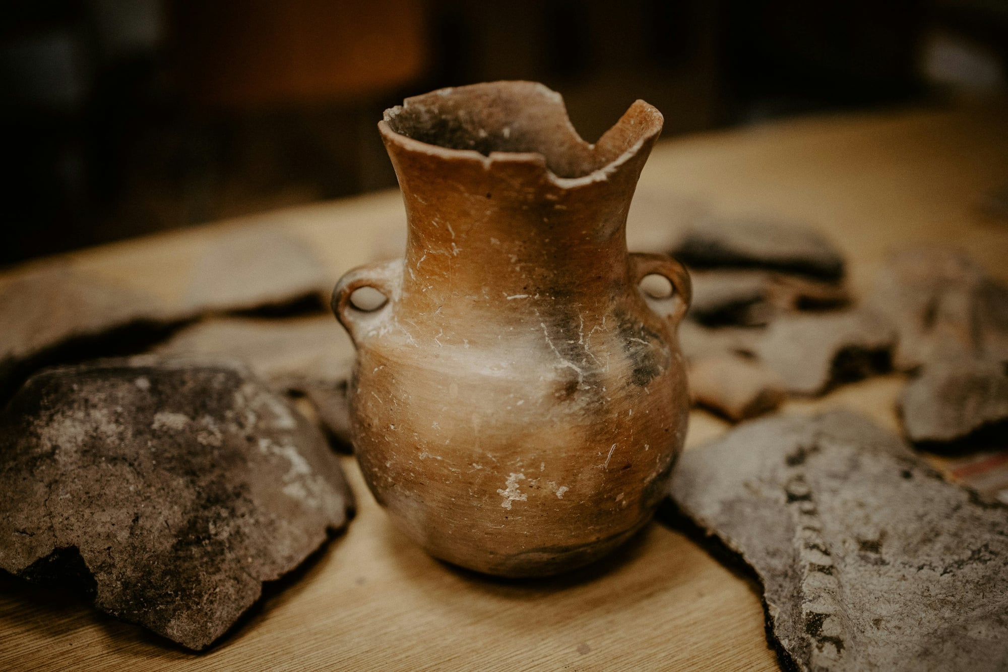 https://www.artribune.com/wp-content/uploads/2026/07/foto-di-trnava-university-su-unsplash.jpg