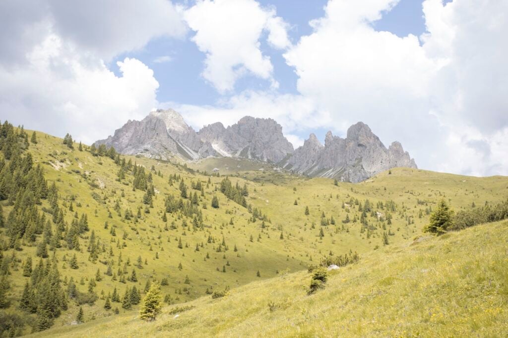 Scenari. Luoghi e Volti della natura