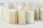 Giorgia Lupi, Book of Life, Progetto per Moleskine Foundation