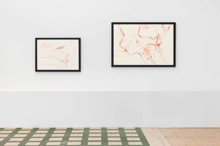 Gabrielle Goliath, Bearing, Raffaella Cortese, Milano, Installation View