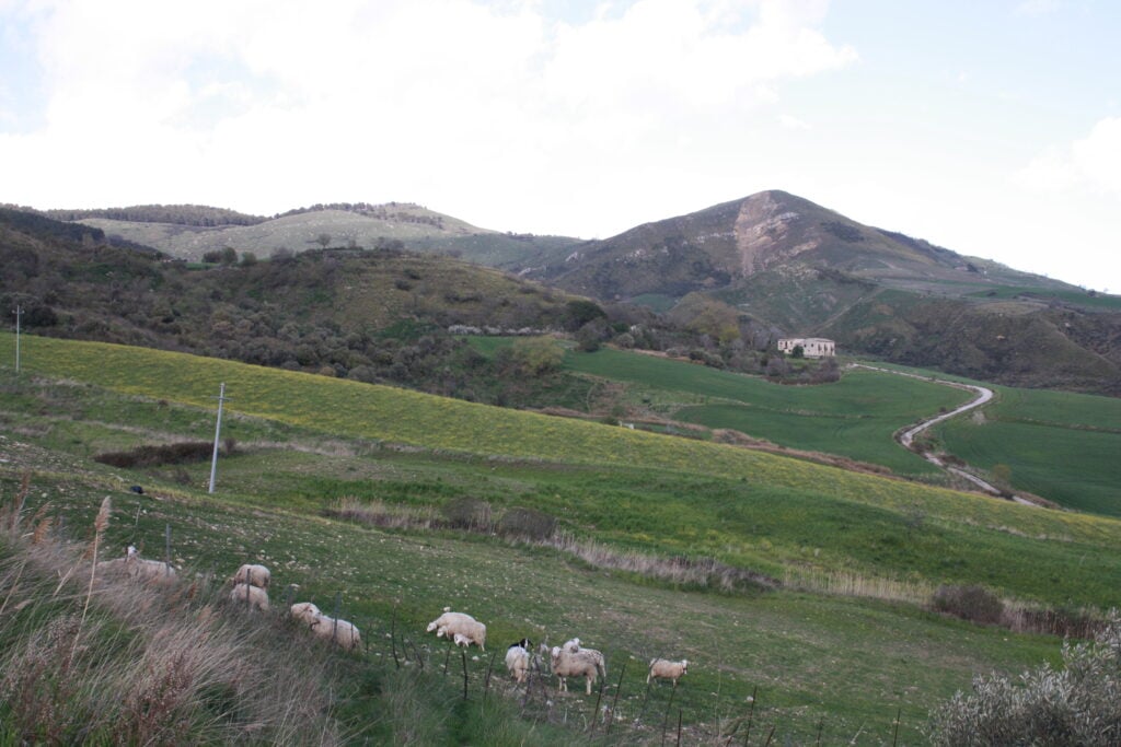 Il paesaggio delle Madonie a Catalani