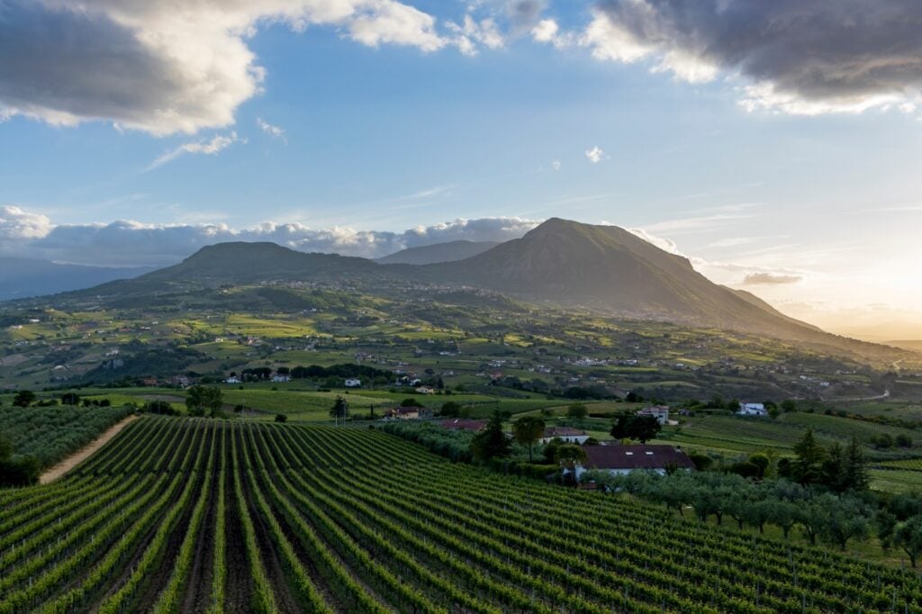 Contro l'overtourism: Il verde e i vigneti del Sannio Beneventano