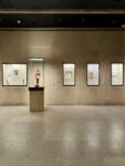 A Lisbona il Museo Calouste Gulbenkian riapre al pubblico dopo un importante restauro