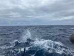 L’artista Luca Vitone e il suo viaggio in barca verso Sant’Elena: il diario di bordo