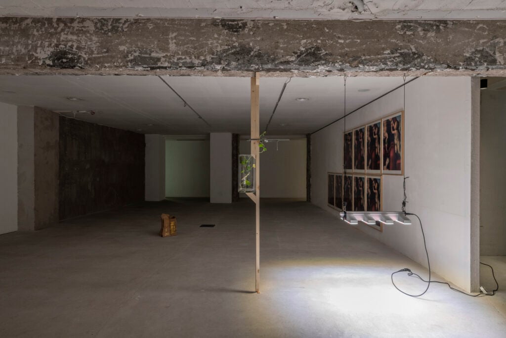 Installation views, Danh Vo at FNDR 2026, Courtsey Fondazione Del Roscio, ph. Giorgio Benni