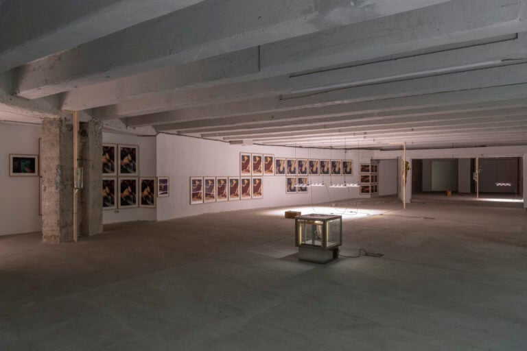 Installation views, Danh Vo at FNDR 2026, Courtsey Fondazione Del Roscio, ph. Giorgio Benni