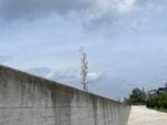 La mostra &ldquo;Geestgrond&rdquo; di Antony Gormley al KMSKA di Anversa, gl spazi esterni photo Claudia Giraud