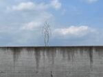La mostra &ldquo;Geestgrond&rdquo; di Antony Gormley al KMSKA di Anversa, gl spazi esterni photo Claudia Giraud