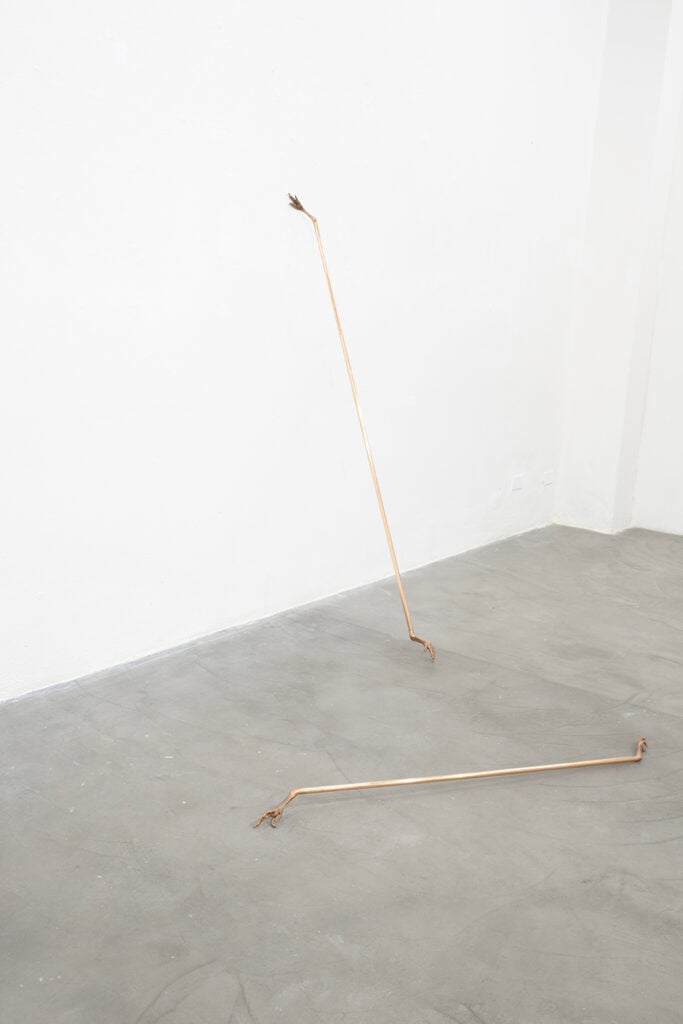 Andrea Fais, La parabola del calabrone, Fondazione Clerici, Brescia, 2025