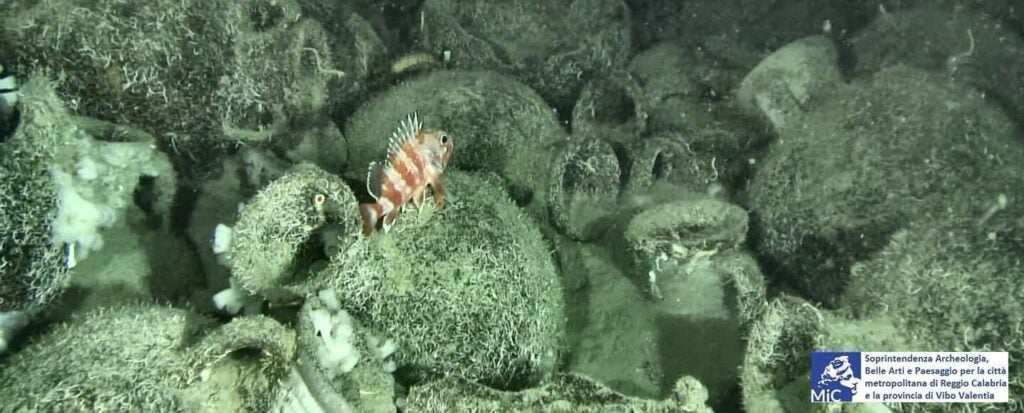 Le anfore del relitto rinvenuto al largo della costa ionica calabrese